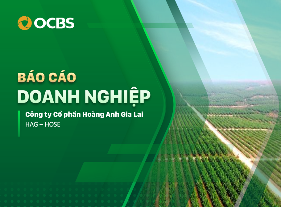 HAG - Báo cáo cập nhật Q1.2026