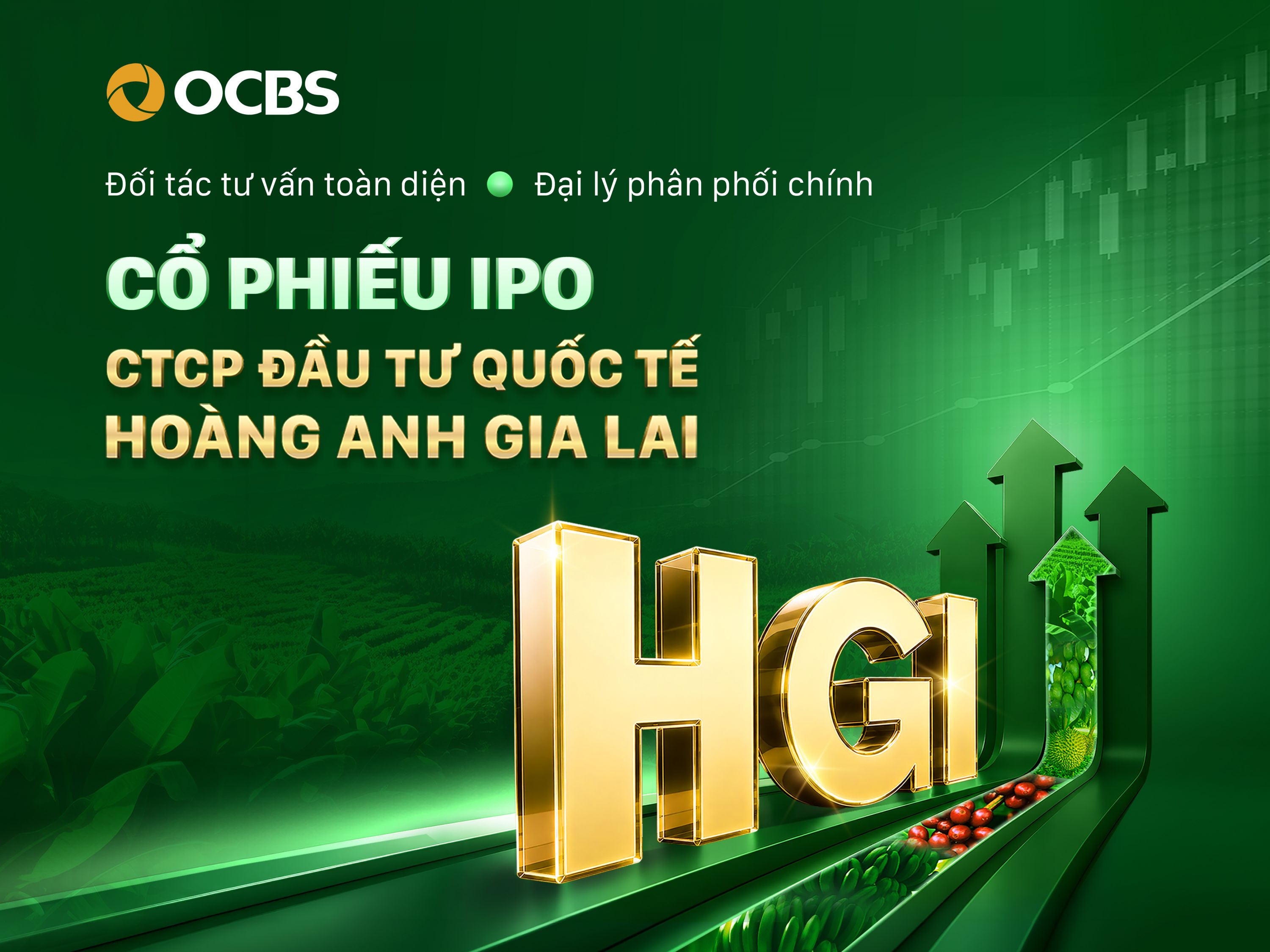 Chào bán cổ phiếu lần đầu ra công chúng của Công ty Cổ phần Đầu tư Quốc tế Hoàng Anh Gia Lai (HGI)