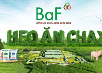 CTCP Nông Nghiệp BAF Việt Nam (HOSE: BAF)