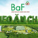 CTCP Nông Nghiệp BAF Việt Nam (HOSE: BAF)