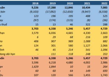 CTCP Nông Nghiệp BAF Việt Nam (HOSE: BAF)